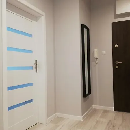 Centrum Wieckowskiego 公寓 *