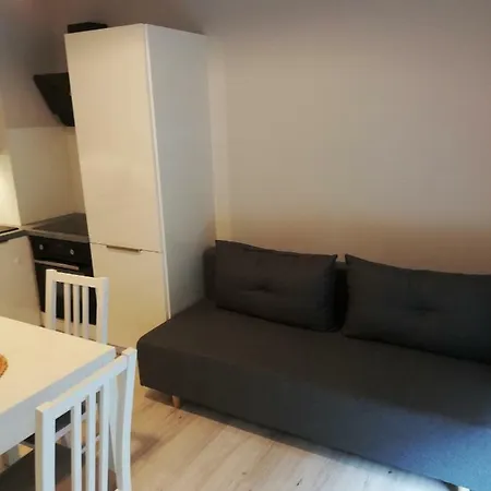 Centrum Wieckowskiego Apartment