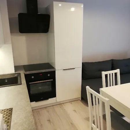 Centrum Wieckowskiego 公寓 *