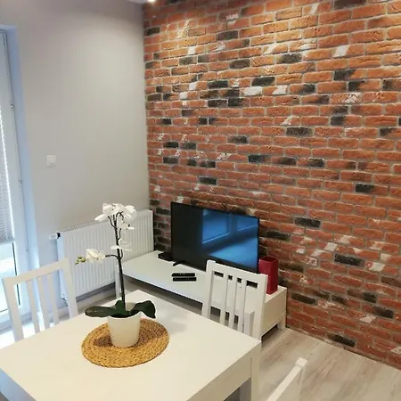 Centrum Wieckowskiego 公寓 罗兹