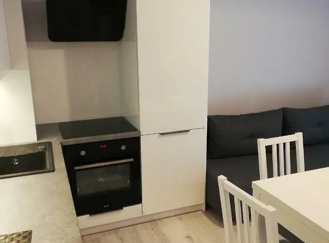 Centrum Wieckowskiego Apartment *